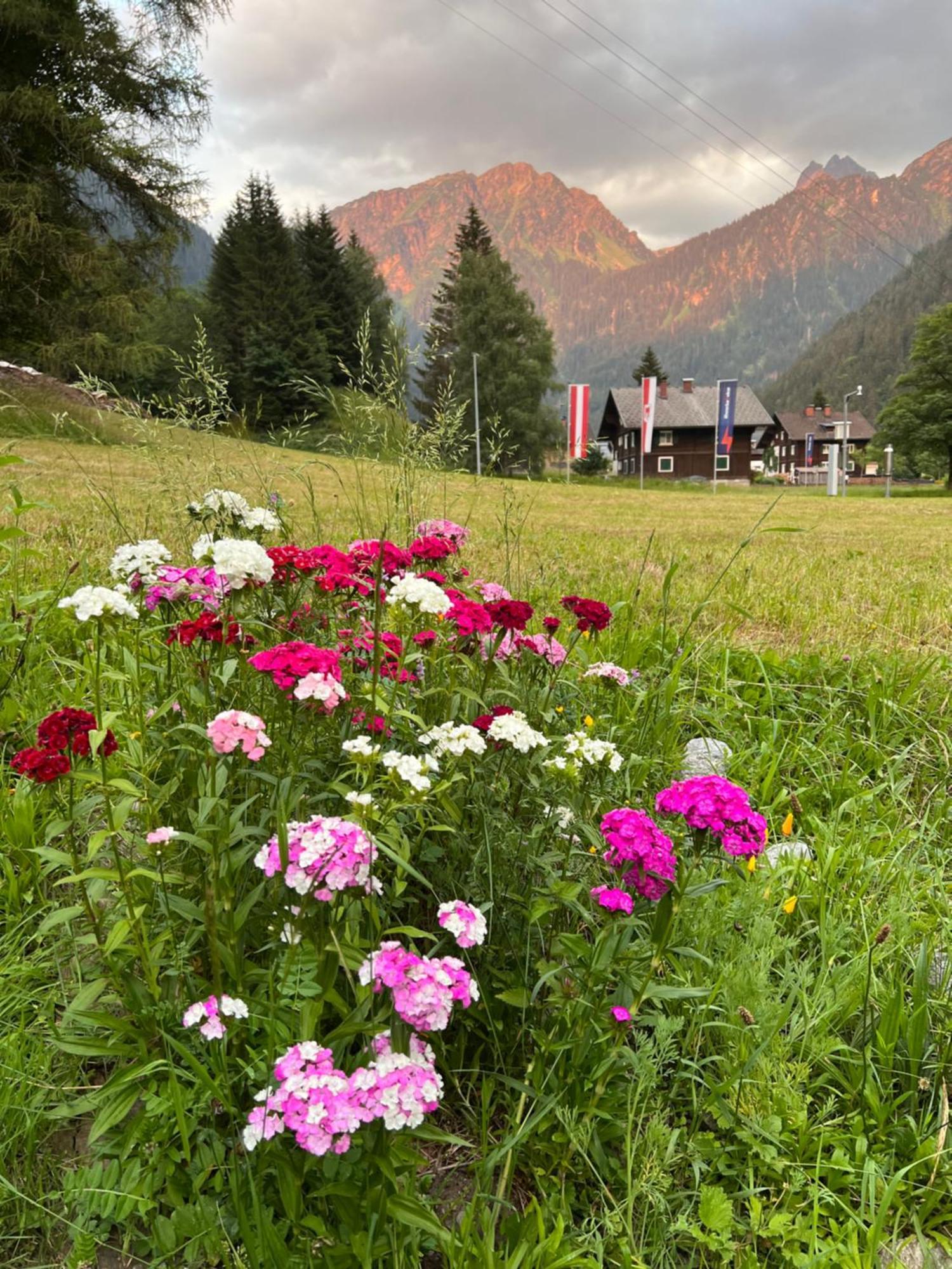 Bed and Breakfast Haus Am Rain Партенен Экстерьер фото
